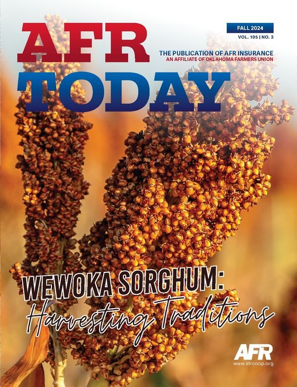 fall_2024_afr_today
